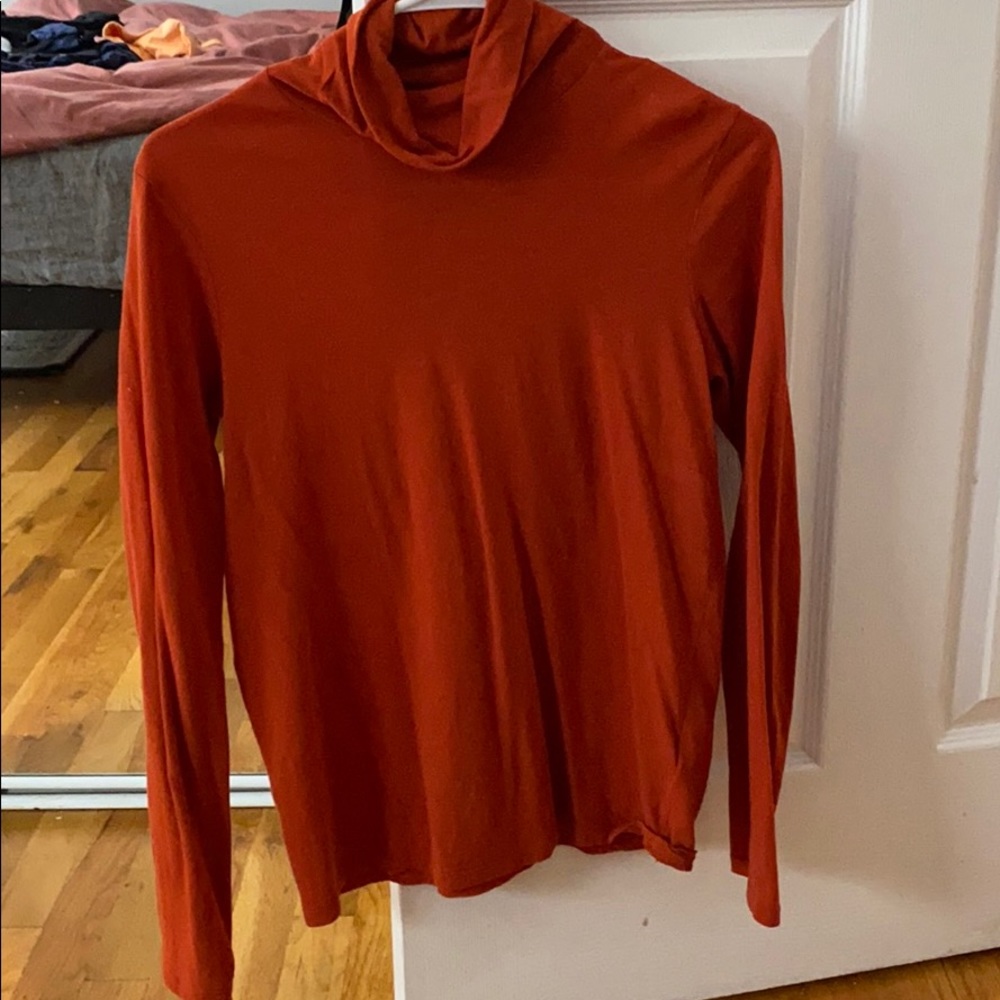 Everlane Turtle Neck